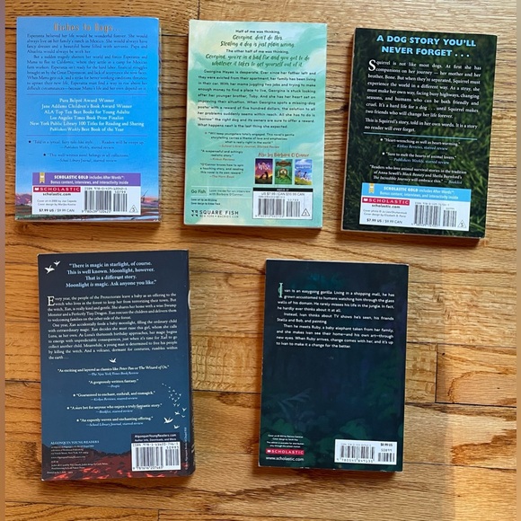 Fiction Chapter Books Set - Picture 2 of 4